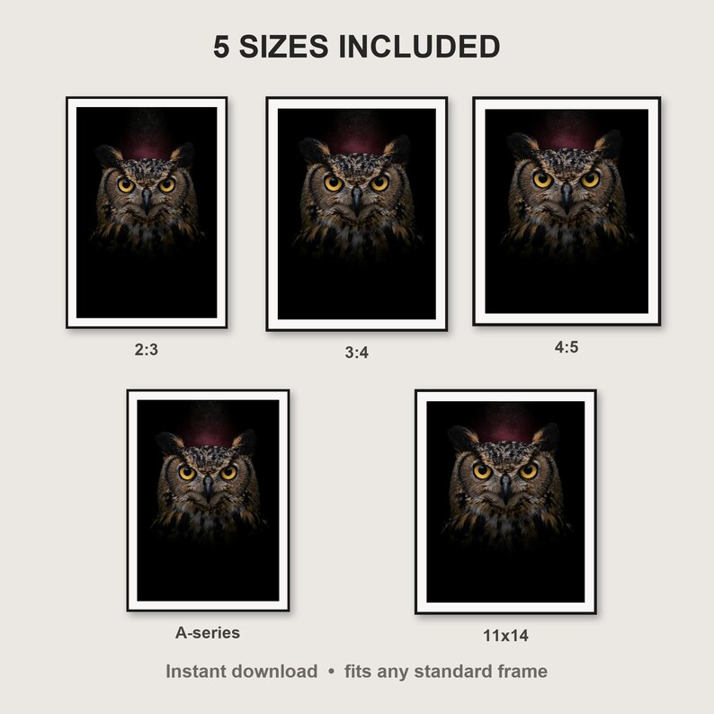 Owl Wall Art print size chart - 5 ratios included: 2:3, 3:4, 4:5, 11x14, ISO A