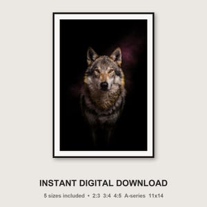 Wolf Print | Brass Rimmed Animal Decor | Dark Luxury Art (Digital Download) image 3