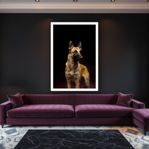 Belgian Malinois Wall Art art print framed in a luxury living room