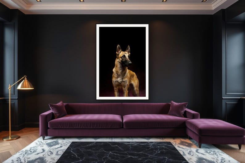 Belgian Malinois Wall Art art print framed in a luxury living room