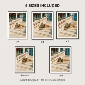 Belgian Malinois Wall Art print size chart - 5 ratios included: 2:3, 3:4, 4:5, 11x14, ISO A