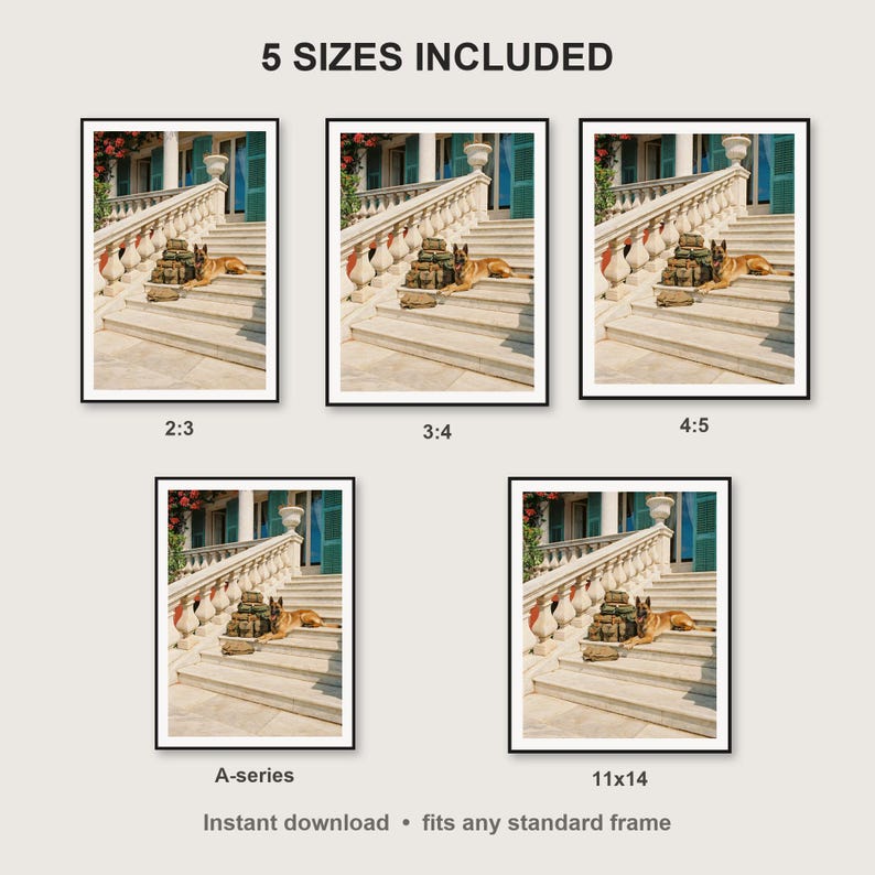 Belgian Malinois Wall Art print size chart - 5 ratios included: 2:3, 3:4, 4:5, 11x14, ISO A