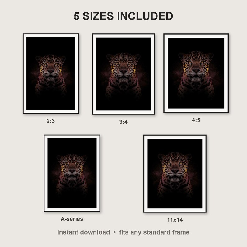 Jaguar Wall Art print size chart - 5 ratios included: 2:3, 3:4, 4:5, 11x14, ISO A