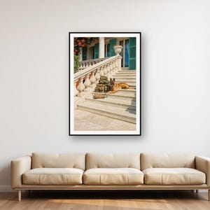 Belgian Malinois Guard Dog Print | Vintage Military K9 Photo, Luxury Decor (Digital Download) image 1