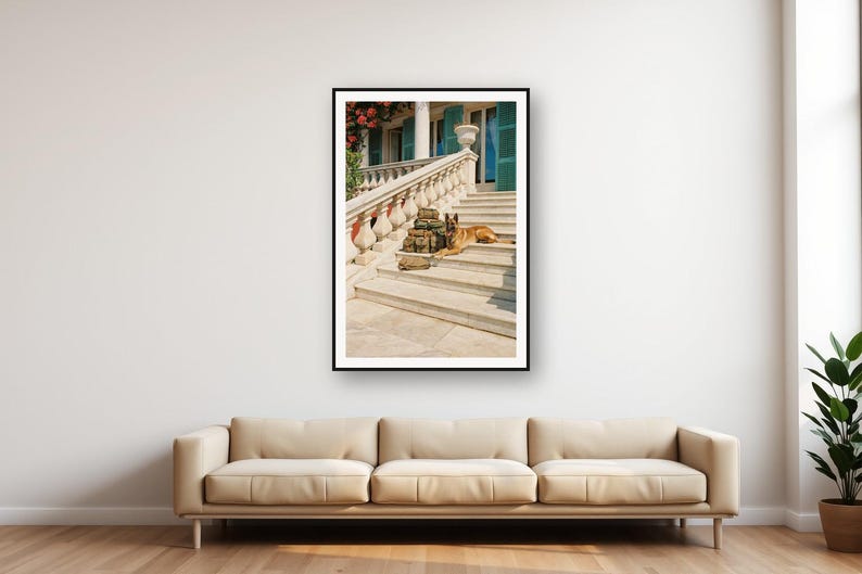 Belgian Malinois Guard Dog Print | Vintage Military K9 Photo, Luxury Decor (Digital Download) image 1