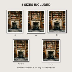 Black Labrador Wall Art print size chart - 5 ratios included: 2:3, 3:4, 4:5, 11x14, ISO A
