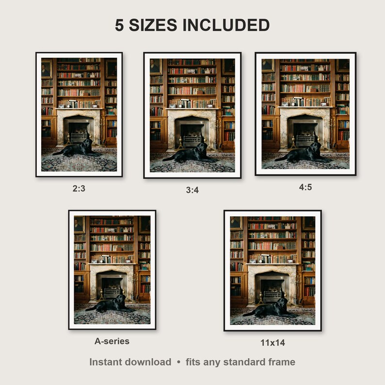 Black Labrador Wall Art print size chart - 5 ratios included: 2:3, 3:4, 4:5, 11x14, ISO A