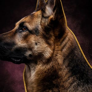 German Shepherd Portrait | Brass Rim Light Dog Art (Digital Download) image 4