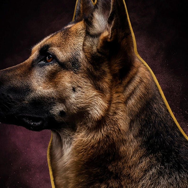 German Shepherd Portrait | Brass Rim Light Dog Art (Digital Download) image 4