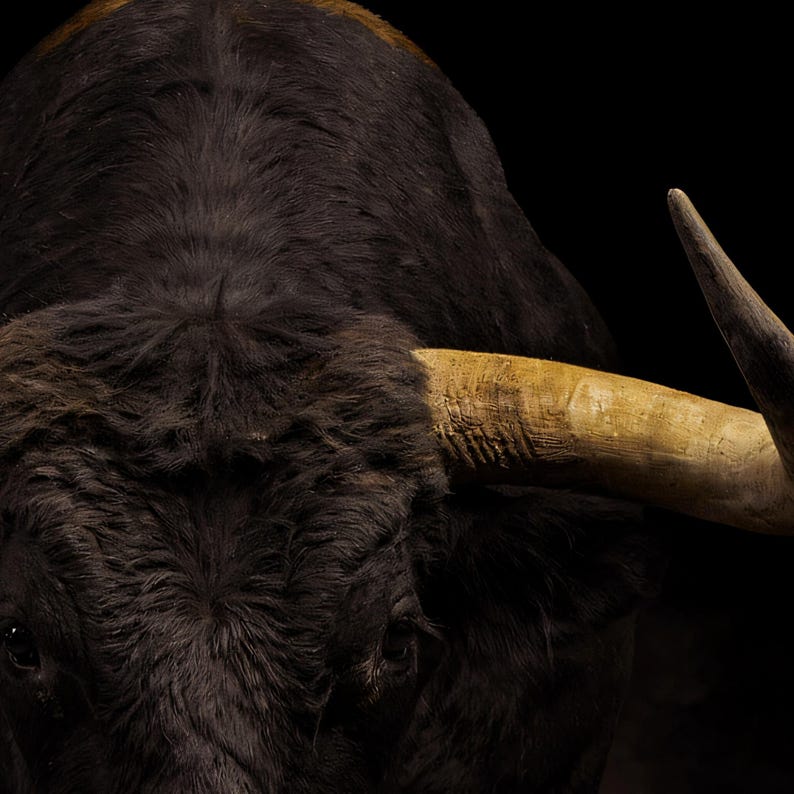 Close-up detail of Bull Wall Art III art print