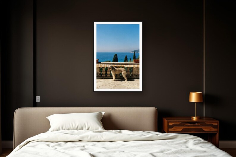 Afghan Hound Wall Art art print framed in a dark luxury bedroom