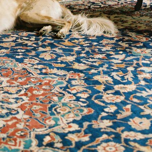 Close-up detail of Saluki Wall Art art print