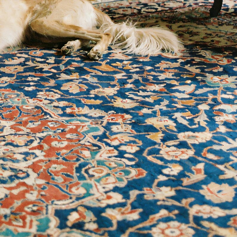 Close-up detail of Saluki Wall Art art print