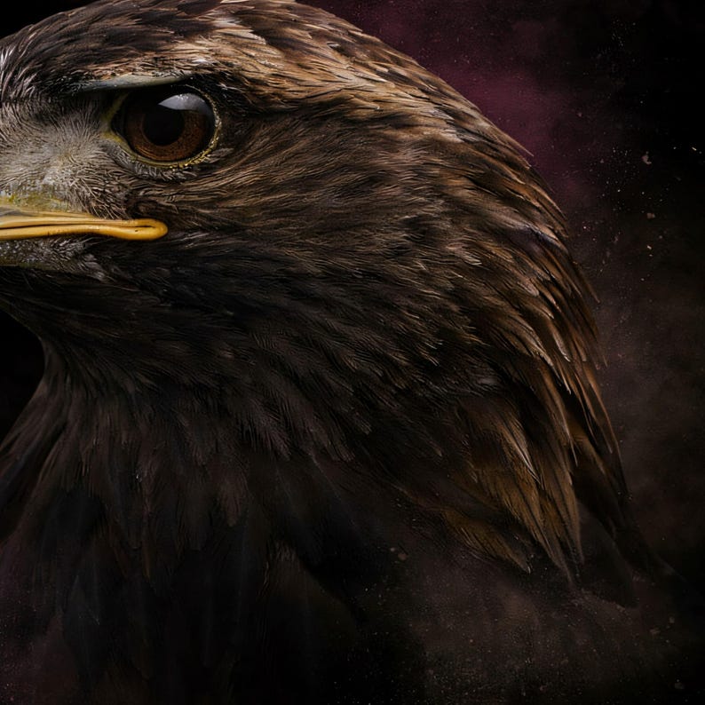 Close-up detail of Eagle Wall Art art print