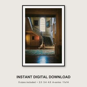 Dane Grand Staircase Print | Manor House Dog Photography (Digital Download) Bild 3