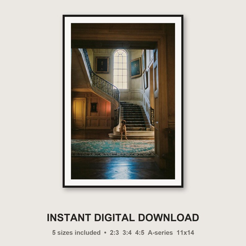 Dane Grand Staircase Print | Manor House Dog Photography (Digital Download) Bild 3