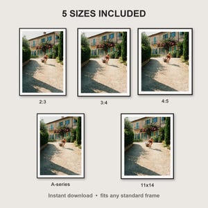Sled Push Wall Art print size chart - 5 ratios included: 2:3, 3:4, 4:5, 11x14, ISO A