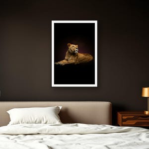 Lioness Wall Art II art print framed in a dark luxury bedroom