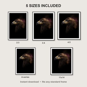Eagle Wall Art II print size chart - 5 ratios included: 2:3, 3:4, 4:5, 11x14, ISO A