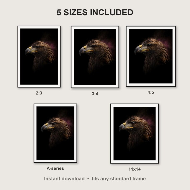 Eagle Wall Art II print size chart - 5 ratios included: 2:3, 3:4, 4:5, 11x14, ISO A