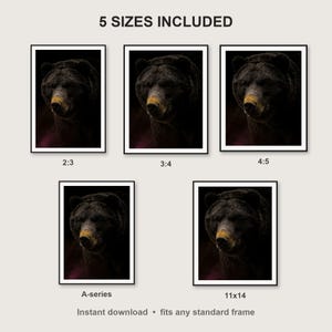 Bear Wall Art print size chart - 5 ratios included: 2:3, 3:4, 4:5, 11x14, ISO A