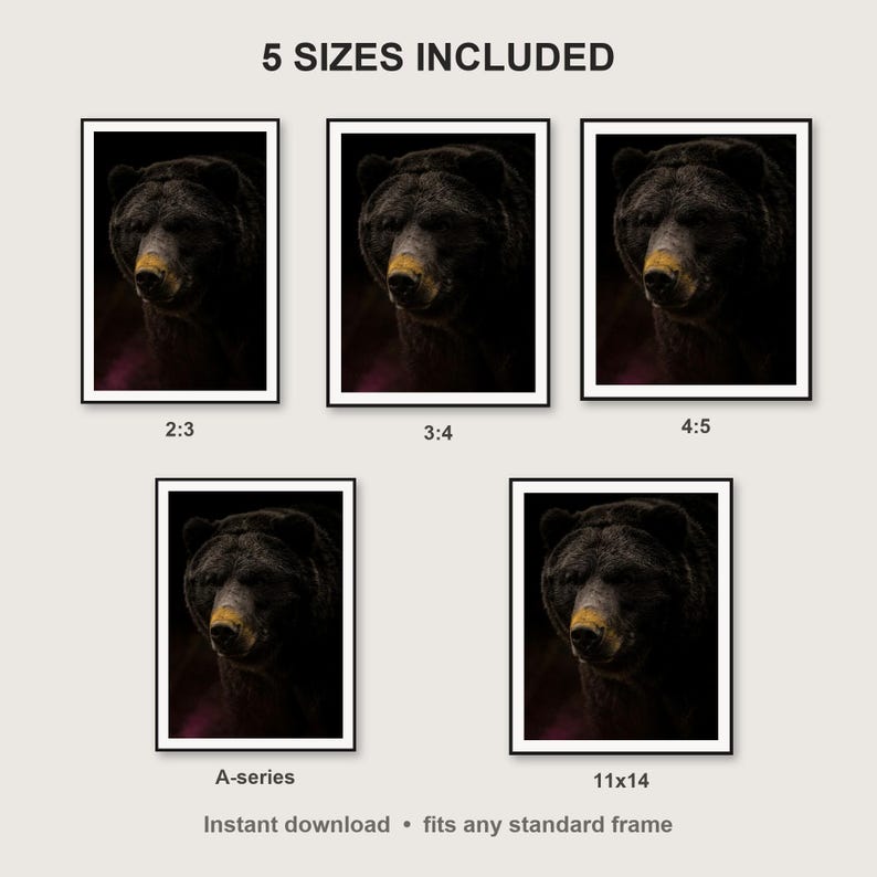 Bear Wall Art print size chart - 5 ratios included: 2:3, 3:4, 4:5, 11x14, ISO A