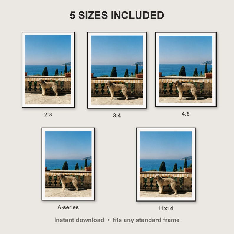 Afghan Hound Wall Art print size chart - 5 ratios included: 2:3, 3:4, 4:5, 11x14, ISO A