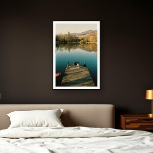 Border Collie Wall Art art print framed in a dark luxury bedroom