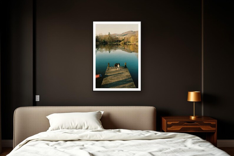 Border Collie Wall Art art print framed in a dark luxury bedroom