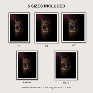 Lynx Wall Art print size chart - 5 ratios included: 2:3, 3:4, 4:5, 11x14, ISO A