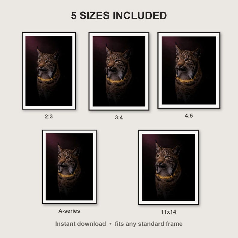 Lynx Wall Art print size chart - 5 ratios included: 2:3, 3:4, 4:5, 11x14, ISO A