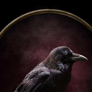 Raven messing ring print | Zwartgoud gotische decoratie (digitale download) afbeelding 4