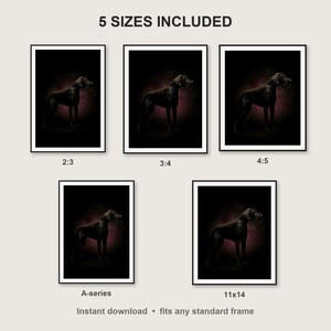 Great Dane Wall Art II print size chart - 5 ratios included: 2:3, 3:4, 4:5, 11x14, ISO A