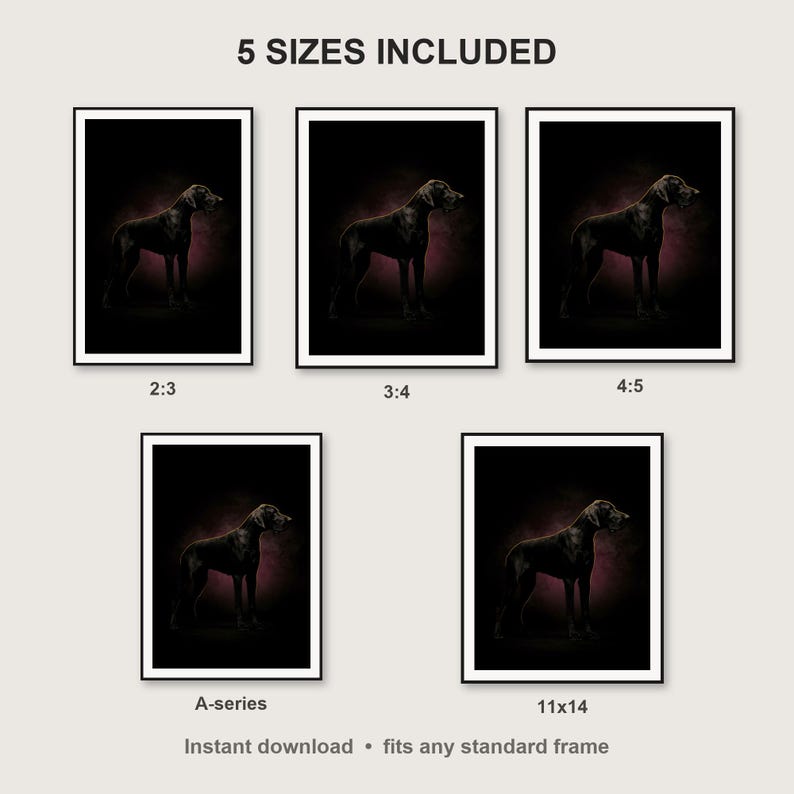 Great Dane Wall Art II print size chart - 5 ratios included: 2:3, 3:4, 4:5, 11x14, ISO A