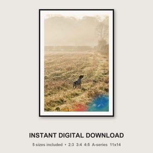 Fotografía vintage de un pointer inglés en un campo brumoso (descarga digital) imagen 3