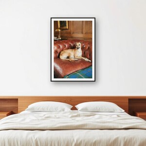 Lámina con estampado de Whippet y sofá Chesterfield / Fotografía de perros de familia adinerada (Descarga digital) imagen 2