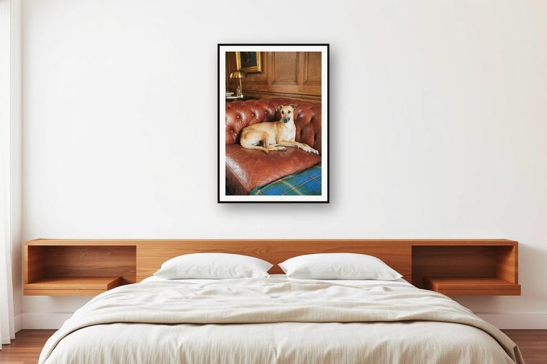 Lámina con estampado de Whippet y sofá Chesterfield / Fotografía de perros de familia adinerada (Descarga digital) imagen 2