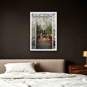 Rhodesian Ridgeback Wall Art art print framed in a dark luxury bedroom