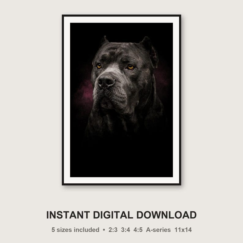 Cane Corso Portrait | Brass Light Dog Art (Digital Download) image 3