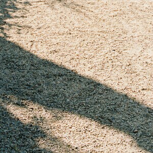 Close-up detail of Sled Push Wall Art art print