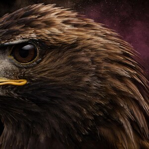 Close-up detail of Eagle Wall Art II art print