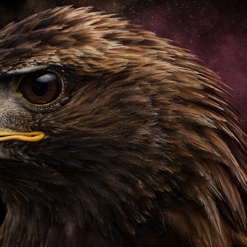 Close-up detail of Eagle Wall Art II art print