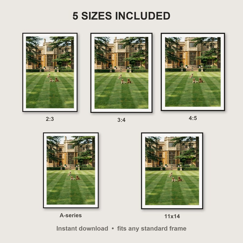 English Setter Wall Art print size chart - 5 ratios included: 2:3, 3:4, 4:5, 11x14, ISO A