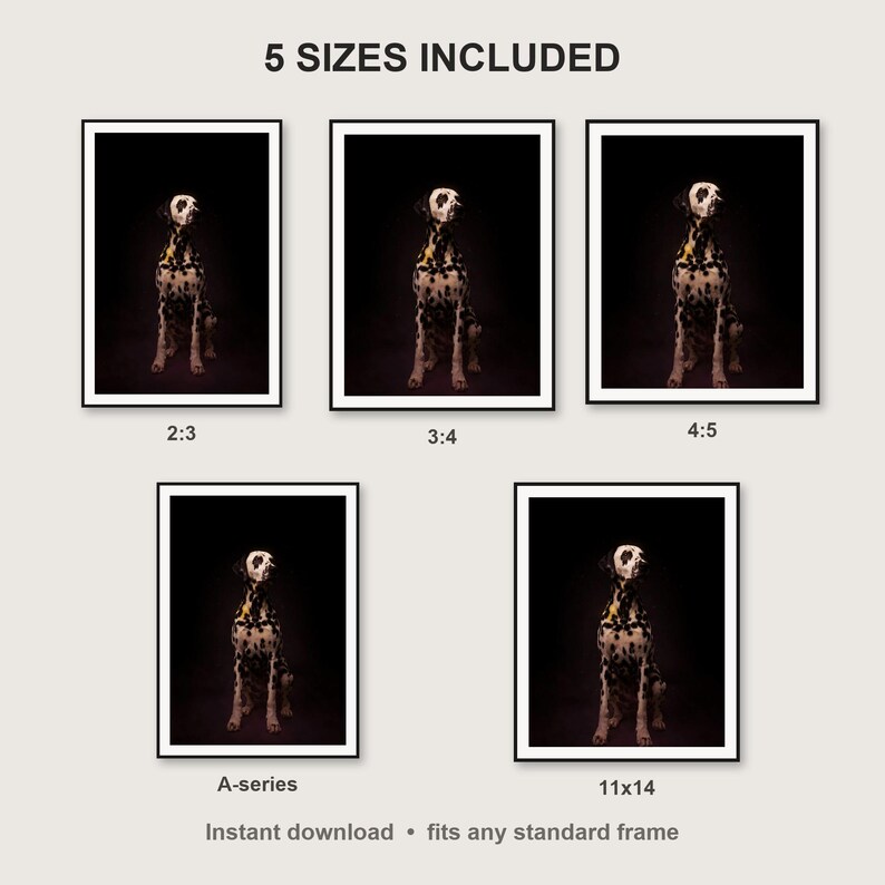 Dalmatian Wall Art II print size chart - 5 ratios included: 2:3, 3:4, 4:5, 11x14, ISO A