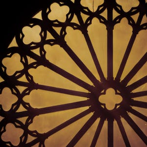 Close-up detail of Dark Luxury Wall Art art print