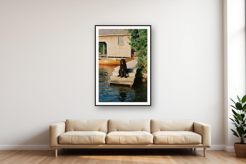 Quadro decorativo com casinha de barco para cães Terra Nova | Arte de parede vintage para casa de lago (Download digital) imagem 1