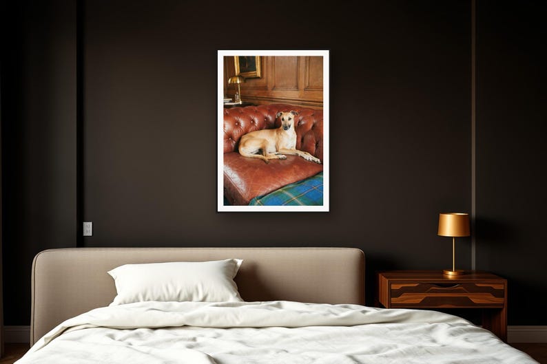 Whippet Wall Art art print framed in a dark luxury bedroom