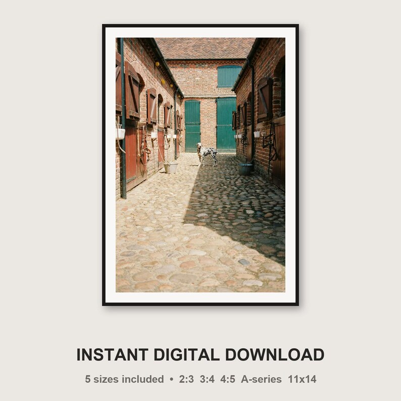 Dalmatian Stable Print | Equestrian Estate Dog Photography (Digital Download) image 3