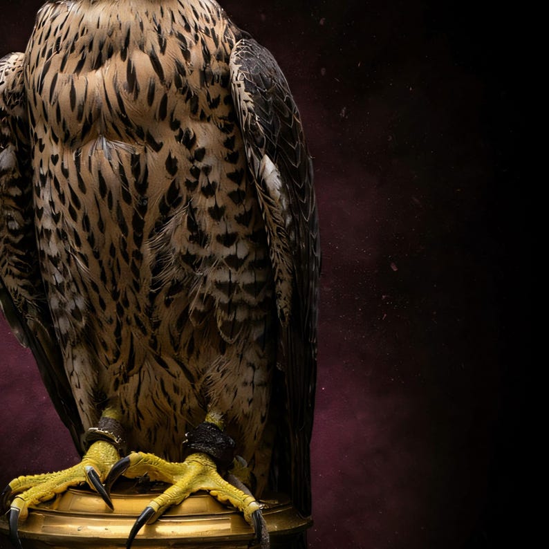 Close-up detail of Falcon Wall Art art print