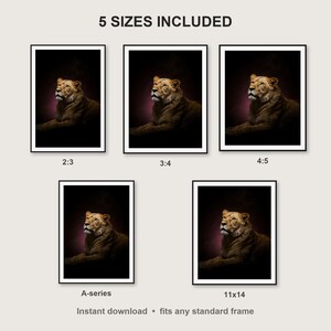 Lioness Wall Art print size chart - 5 ratios included: 2:3, 3:4, 4:5, 11x14, ISO A